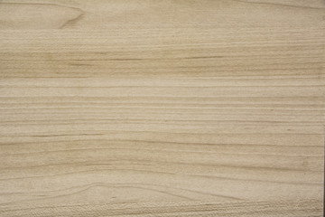 Photographs depicting textures