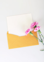 Beautiful carnation