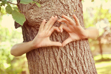 Child's hands making a heart shape on a tree trunk. Instagram ef