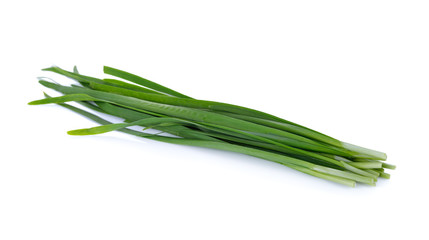 fresh chinese chives on white background