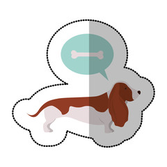 colorful image middle shadow sticker with dachshund dog thinkin pet bone vector illustration