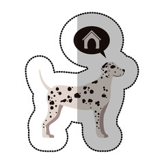 colorful image middle shadow sticker with dalmatian dog thinkin home vector illustration