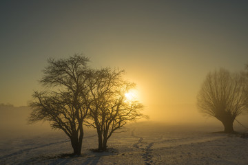 Winterlicher Sonnenuntergang bei Nebel