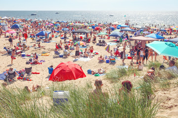 Beach scene on a busy summer day