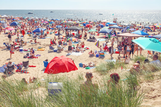 Beach scene on a busy summer day - Powered by Adobe