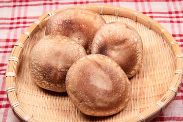 生椎茸