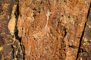 Petroglyphs