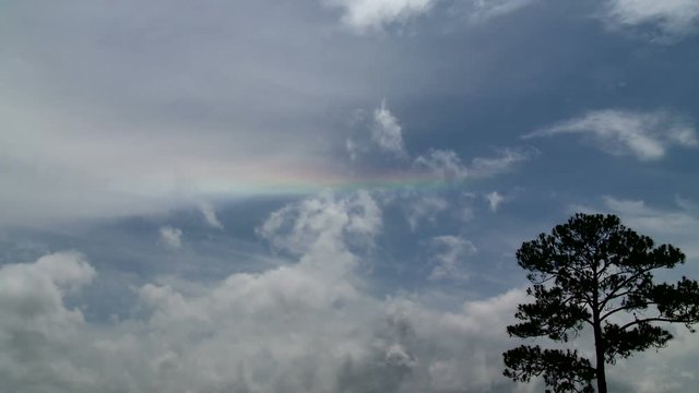 Not a Rainbow But A Partial Parhelic Circle