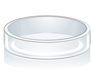 Laboratory Tools Petri Dish