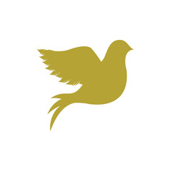 colorful silhouette of pigeon logo design vector illustration