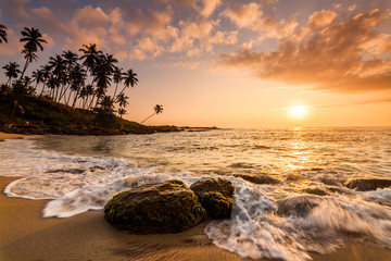 Sunset on the beach with coconut palms.