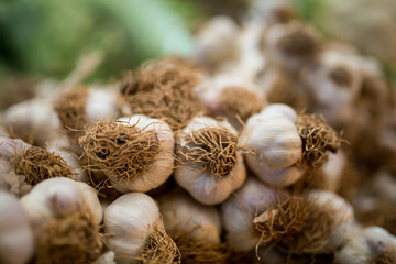 garlic bulbs with garlic cloves