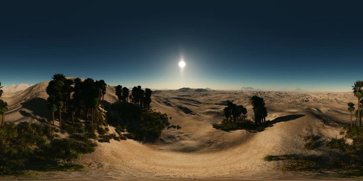 aerial vr 360panoramia of palms in desert. made with the one 360 degree lense camera without any seams. ready for virtual reality