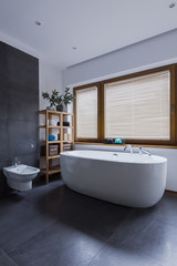 Free standing bathtub and bidet