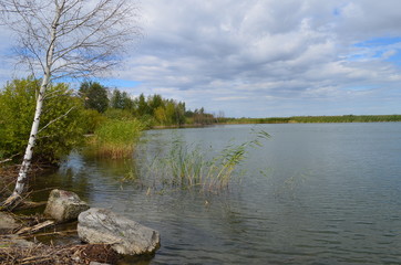 Fototapeta na wymiar the shore of the lake in the fall