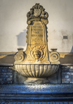 Historical fountain with ornaments and lion head