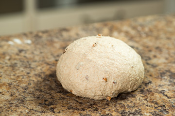Fototapeta na wymiar Pastry Dough Shaped to a Bun on Stone Countertop