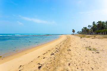 Fototapeta na wymiar Jaffna Point Pedro Sand Beach Litter H