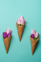 Concept with tulips in cone