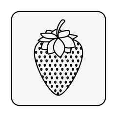 monochrome contour square with strawberry fruit vector illustration
