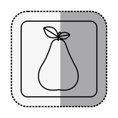 monochrome square contour with middle shadow sticker with pear fruit vector illustration