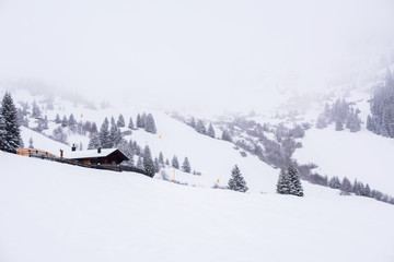 Mountain Skiing Run Austria House Deep Snow Alps