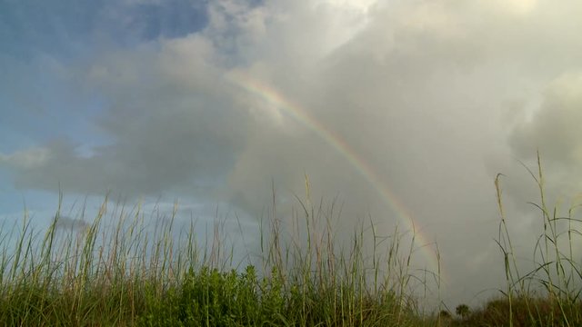 Rainbow at Beach at Jekyll Island