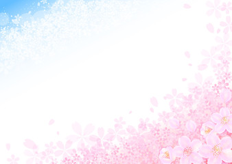 桜　青空 