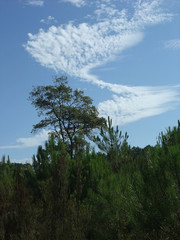 nuage en zigzag