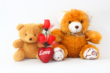 Two brown teddy bear with a red rose on a white background.