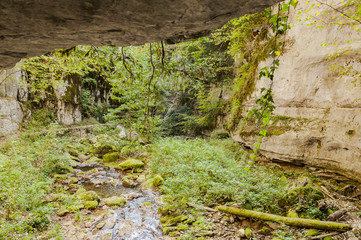 Fototapeta premium Twann, Schlucht, Twannbachschlucht, Dorf, Wanderweg, Waldweg, Wald, Felswand, Efeu, Moos, Herbst, Herbstwanderung, Jura, Schweiz