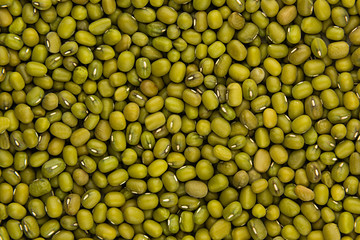 Mung green beans  closeup top view background. Healthy protein food.