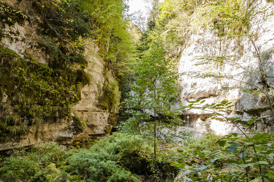 Twann, Twannbachschlucht, Schlucht, Twannberg, Felswand, Jura, Wald, Wanderweg, Jurafelsen, Herbst, Herbstwanderung, Schweiz
