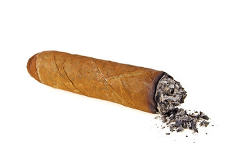 Brown cigar burned on white background