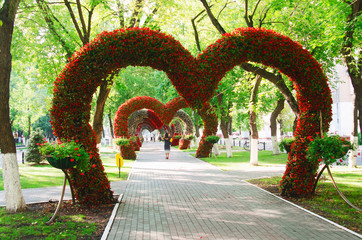 Boulevard of floral hearts. Moscow region, Khimki