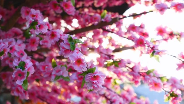 Plastic flowers pink of sakura tree.