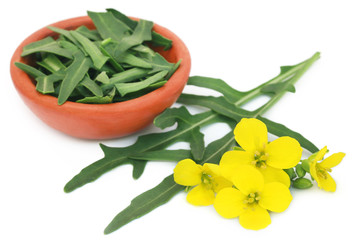 Fototapeta premium Fresh arugula or rucola leaves with flowers