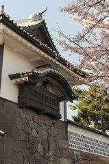 桜とお城