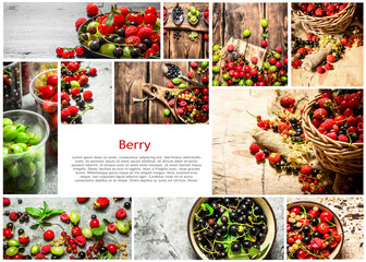 Fototapeta na wymiar Food collage of berry .