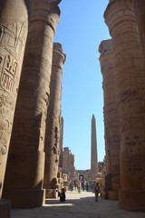 Columns of the ancient temple in Luxor. Egypt.