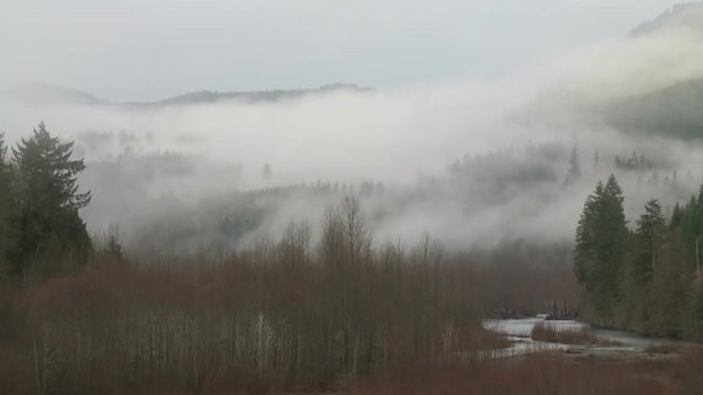 Upslope Fog on Mountain Hillside