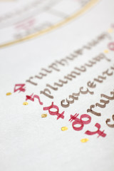 Detail of a handwritten alchemical symbols. Uncial latin script.