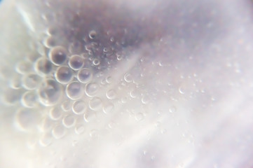 The oil droplets in the water