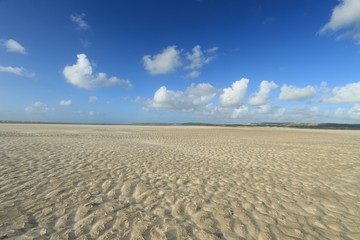 Fototapeta na wymiar BEACH OF THE TOUQUET, COTE D'OPALE, PAS DE CALAIS, HAUTS DE FRANCE , FRANCE 