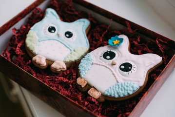 Valentine's Day Owl Cookies