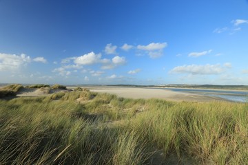 dunes of the Touquet c&ocirc;te d 'Opale , pas de Calais, hauts de France , France 