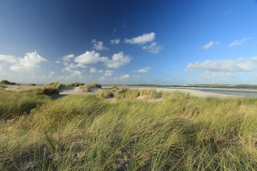 dunes of the Touquet côte d 'Opale , pas de Calais, hauts de France , France 