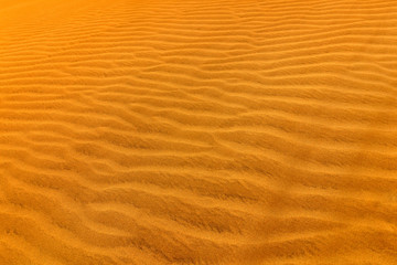 Detail of sand dune in desert. Summer dry landscape in Africa. Sand waves in the wild nature. Dunas Maspalomas, Gran Canaria, Spain. Yellow sand on the island. close-up photo of yellow orange sand.