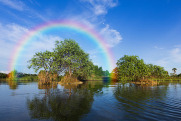 Rainbow over green tree on lake in Thailand.