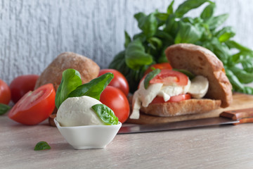  mozzarella with tomato and basil